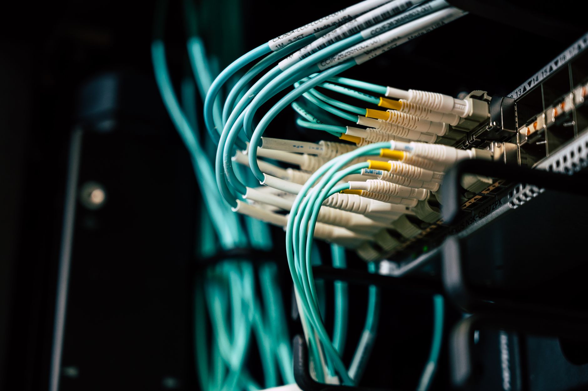 Network cables plugged into a server rack